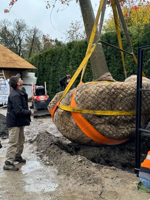 9ab9b687-4a4f-4d06-86d7-8f1911020be1